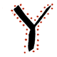 Y